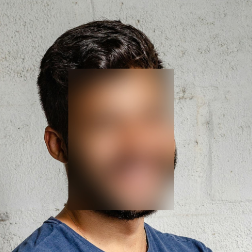 Blur Faces in Video