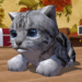 cute-pocket-cat-3d.png