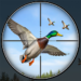 duck-hunting-3d-fps-shooting.png