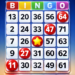 bingo-classic-bingo-games.png
