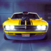 chrome-valley-customs.png