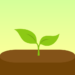 forest-focus-for-productivity.png
