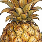 fruitly-botanical-trivia.png