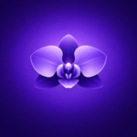 gorgeous-orchids.png