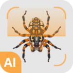 spider-identifier.png