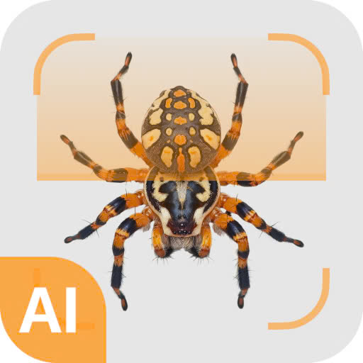 Spider identifier